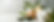 AdobeStock_393855516.jpeg