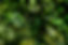 AdobeStock_431976514.jpeg