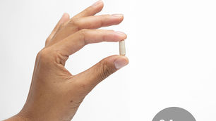 Probiotic Strains for Yogurt-Making