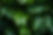 AdobeStock_657303496.jpeg