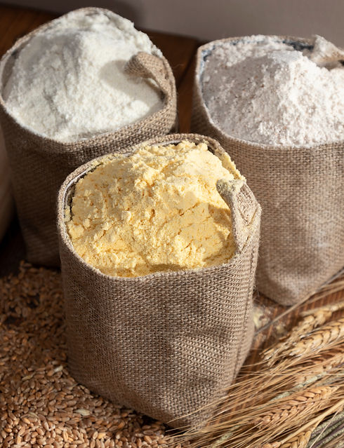 Starch And Flour XPORTEXIM_edited.jpg