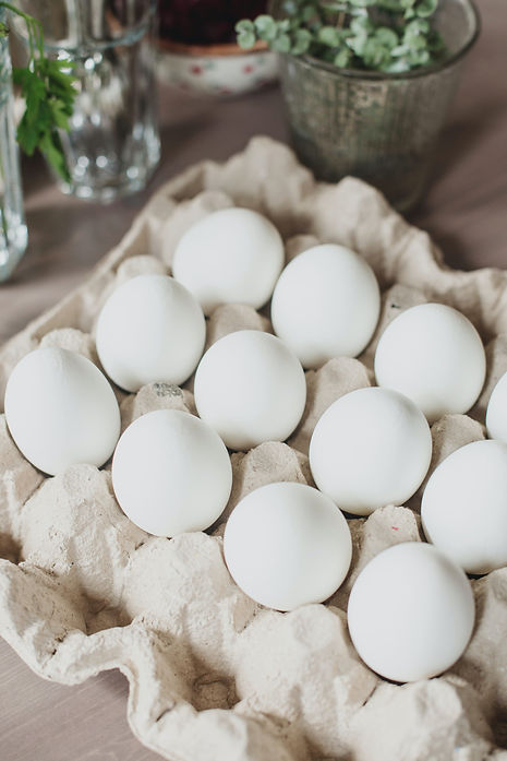 Egg XPORTEXIM.jpg