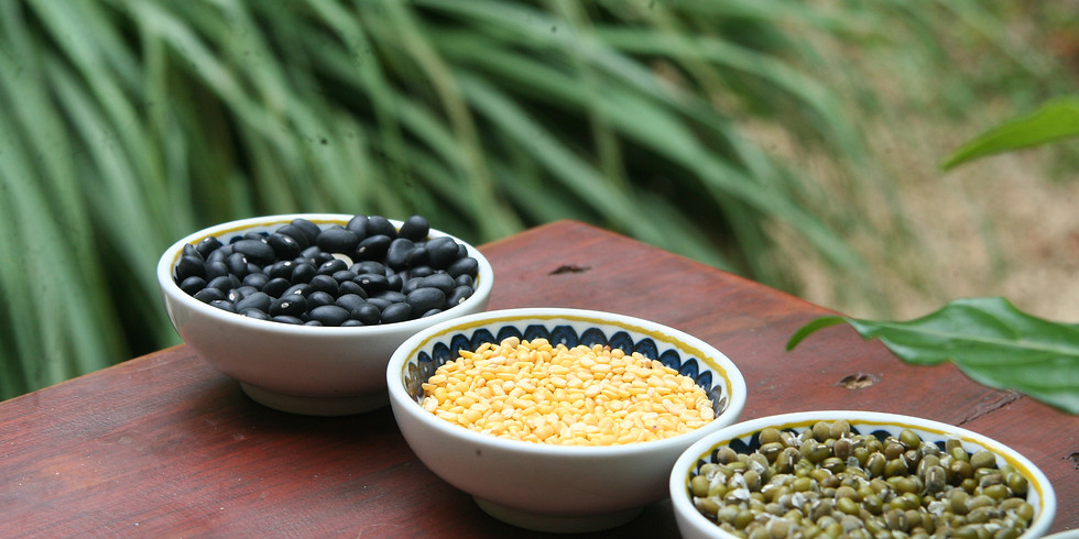 February, 6 Day Ayurveda Cooking Immersion: Food Alchemy in Costa Rica