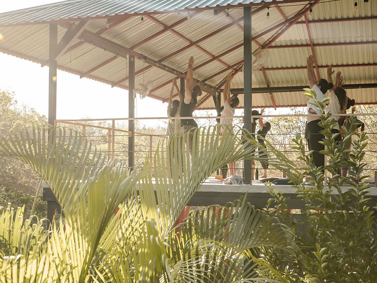 Yoga Shala from Palm Debbie.jpg