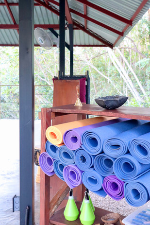 Yoga Mats in Yoga Shala.jpeg