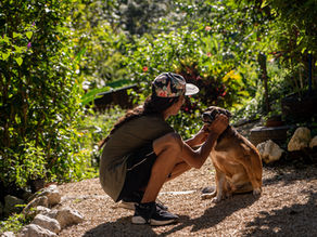 What is it to be Happy? Santosa Satatam