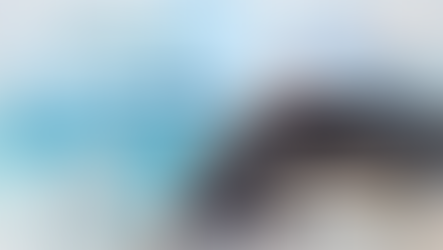 Minding the Grief Journey...With Purpose and Prayer