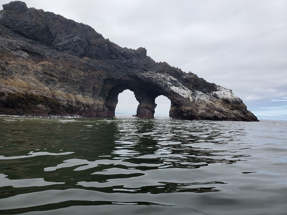 Earth Science: Class Fee