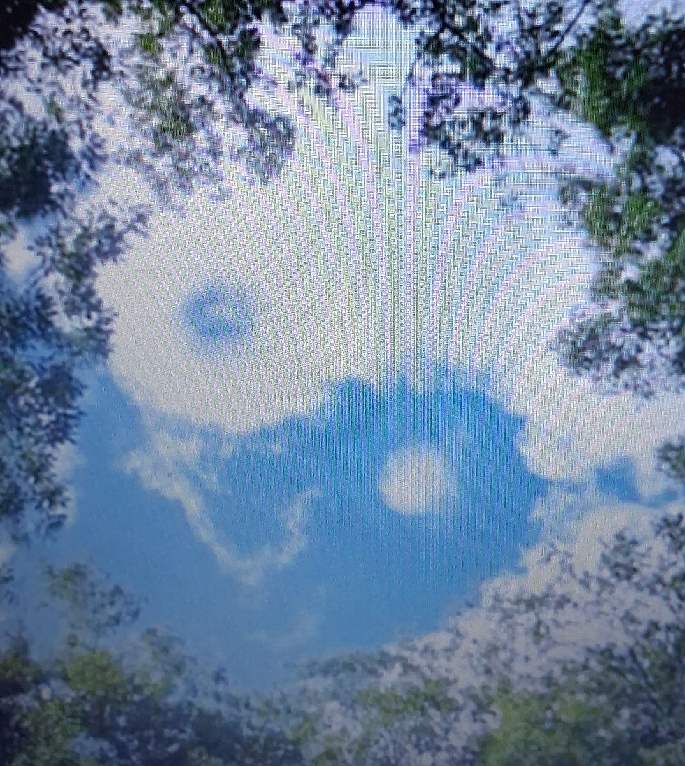 Yin Yang Ciel Photo