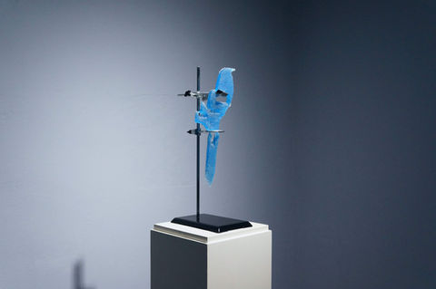 Constantin Hartenstein Jakob Collection.jpg