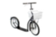 Fern - 16" Scooter