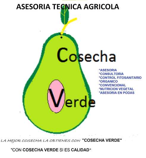 COSECHA VERDE LOGO.png