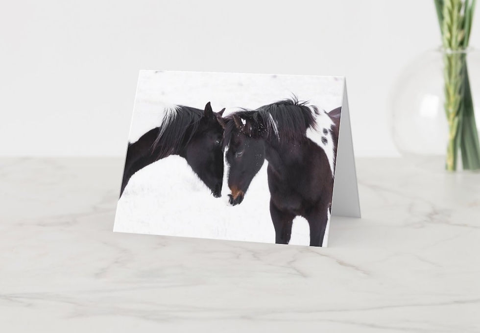 Thumbnail: Ride West Greeting Cards