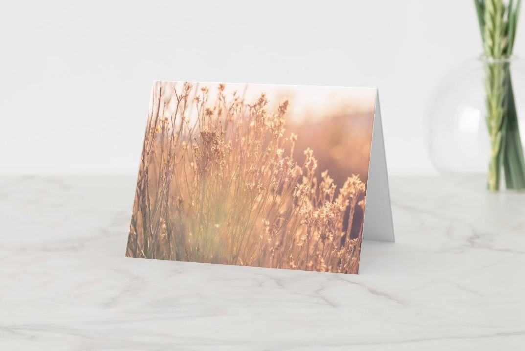 Western Greeting Cards