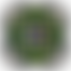 News Letter Européenne Juin 2025