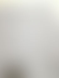 CORONA FRENCH CAFFE PANTS 2