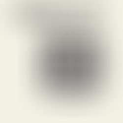 RaiseUp, NuSHOT, アシサバキ, SDCJ