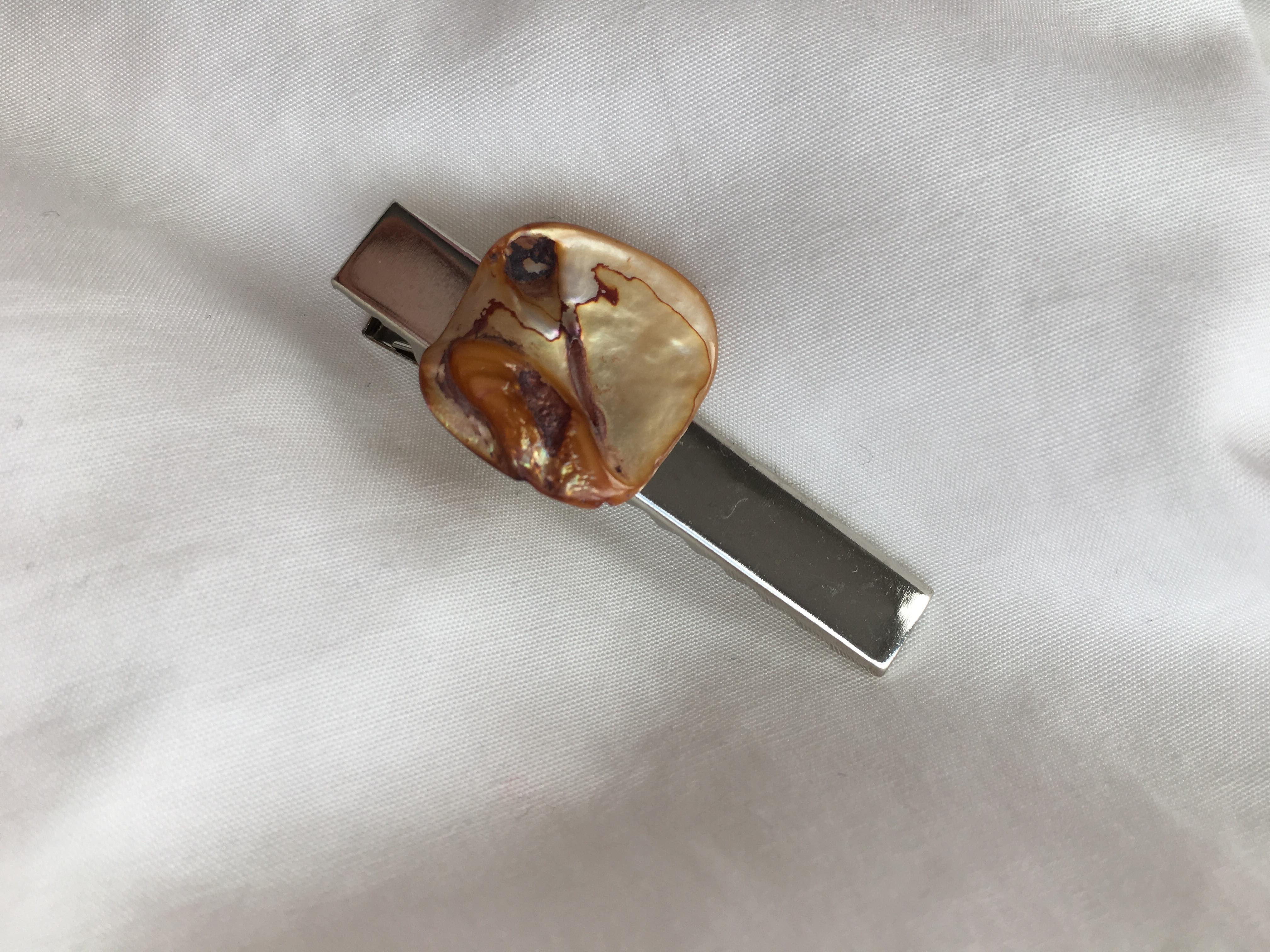 Sandy Seashell Alligator Clip