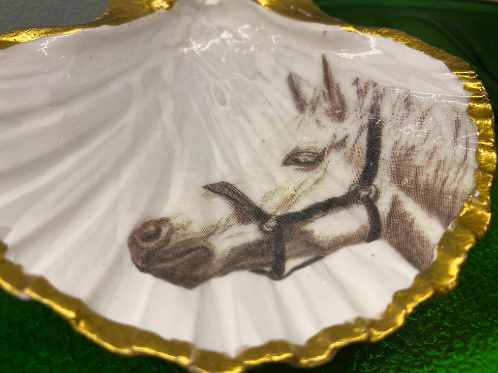 Thumbnail: White Horse - Irish Scallop Shell