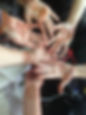 BC9B0E79-D7F6-484F-B80D-E0F7668F2D91_1_105_c.jpeg