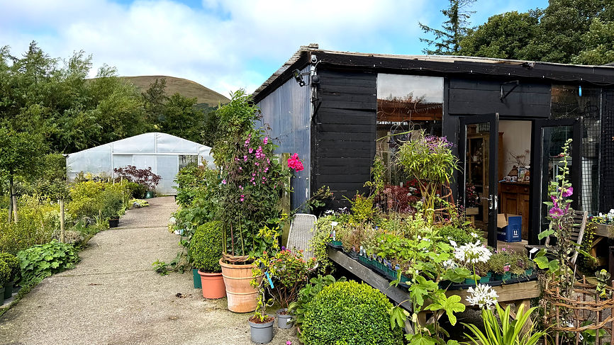 Damhead-Nursery-Home.jpg