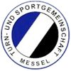 TSG-Messel.gif