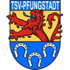 TSV-Pfungstadt.gif
