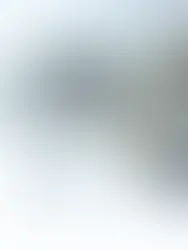 Interview d'Alain Kleinmann