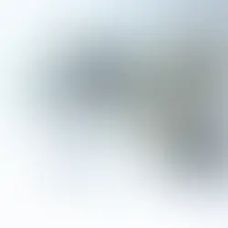 Interview d'Alain Kleinmann