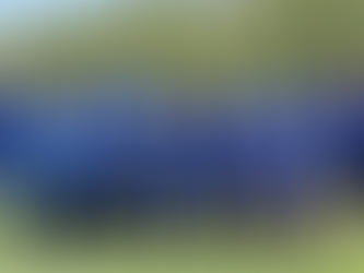 Pressebericht & Impressionen Baden-Württembergische Staffelmeisterschaften am 27.04.2024 in Waldshut-Tiengen