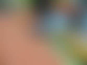 Ergebnisse, Bericht & Impressionen WLV Hallenmeisterschaft U16 & Internationales Jugendmeeting am 04.02.2024 in Sindelfingen