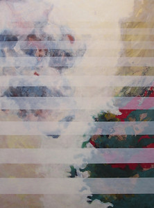 20. 2011.AcVi.HgMDF_80x60, Sichtschutz,