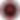 new newest logo.png