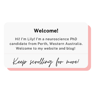Untitled design (2).png