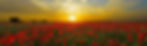 unity-health-on-main-behavioral-health-cta.jpg