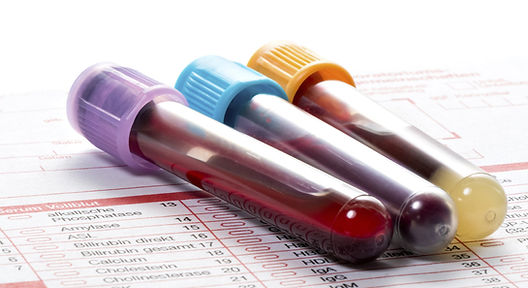 Laboratory pic.jpg