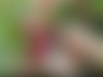 Use This All Natural Beauty Serum to Transform Your Skincare Routine