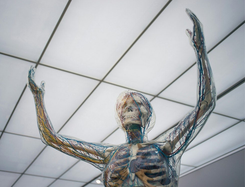 Nervensystemregulierung