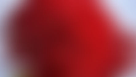 Cultivating Peace – Advice from friends and poets