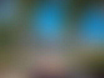 Old School Square Center For The Arts Announces New Delray Beach Programming