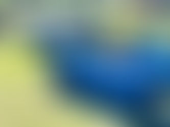 Delray Beach Concours D’Elegance 2023, The Tradition Continues!