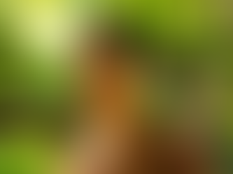                             ¿CÓMO CREAR CONCIENCIA?