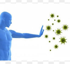 Sistema Inmunologico.jpeg