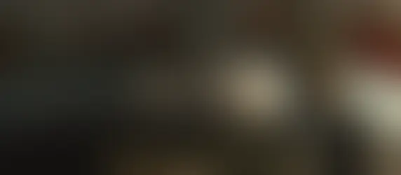 Kisah Anjing Jalanan yang Memilih Pendampingnya