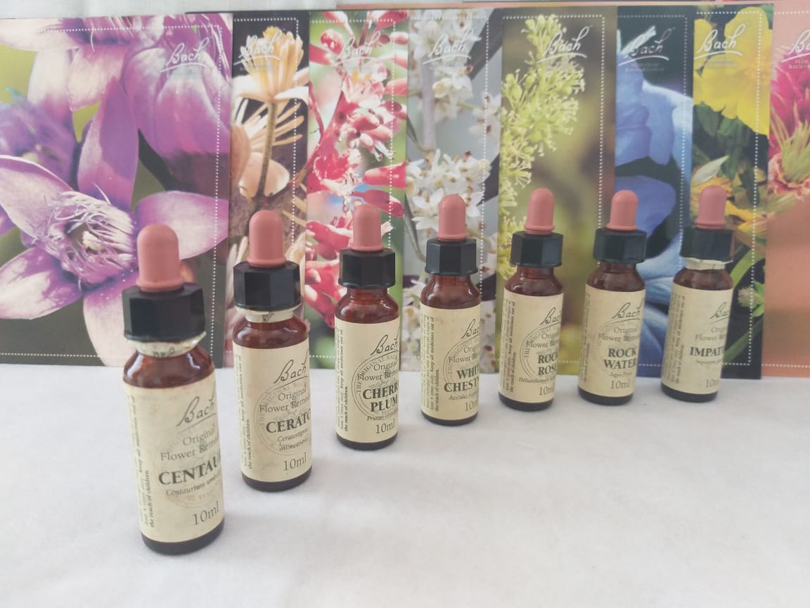 Terapia Floral