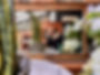 2D82091C-5436-4F79-A03E-29D93943F470_1_201_a.jpeg