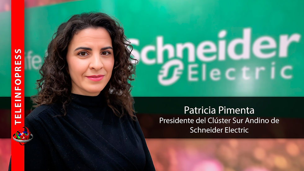 Patrícia Pimenta, asume la presidencia del Clúster Sur Andino de Schneider Electric.