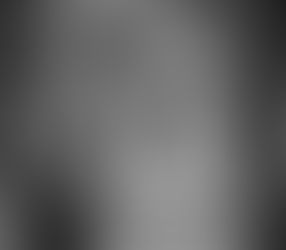 La stratégie du lion derrière la lionne