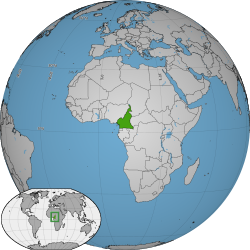 Stratégie numérique et bataille pour Etoudi : le virage digital des leaders camerounais