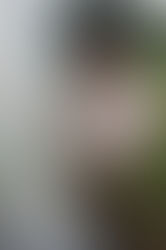 HEMLE... Les acteurs